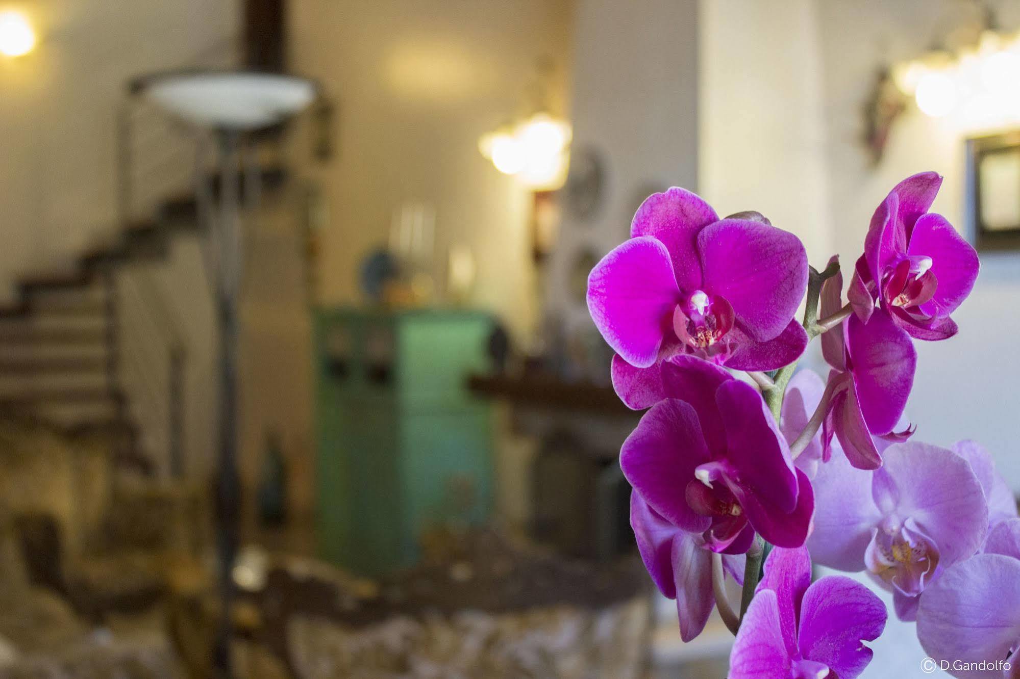 Villa Gagliardetta Castellammare del Golfo Buitenkant foto